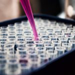 Bioactive abre processo seletivo para contratação de pesquisador
