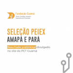 Confira o resultado preliminar da seleção de pessoal para o PEIEX Amapá e Pará