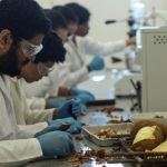Laboratórios no PCT Guamá aproximam ciência e mercado, e contribuem com a cadeia produtiva do estado