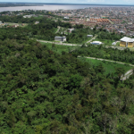 Divulgado novo edital para ocupação de lotes no Parque de Ciência e Tecnologia Guamá